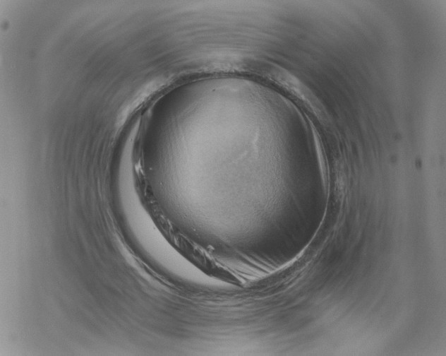 X0000068900677200605261911
