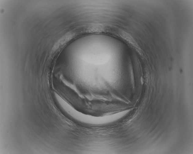 X0000068900681200605261911