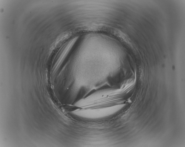 X0000068900685200605261911