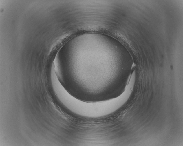 X0000068900688200605261911