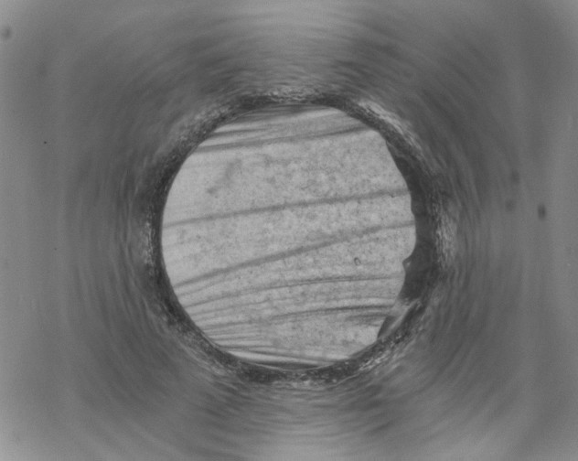 X0000068900689200605261911