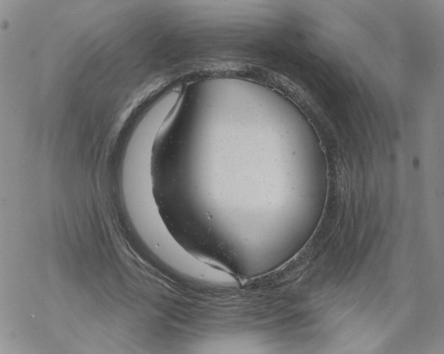 X0000068900731200605261910