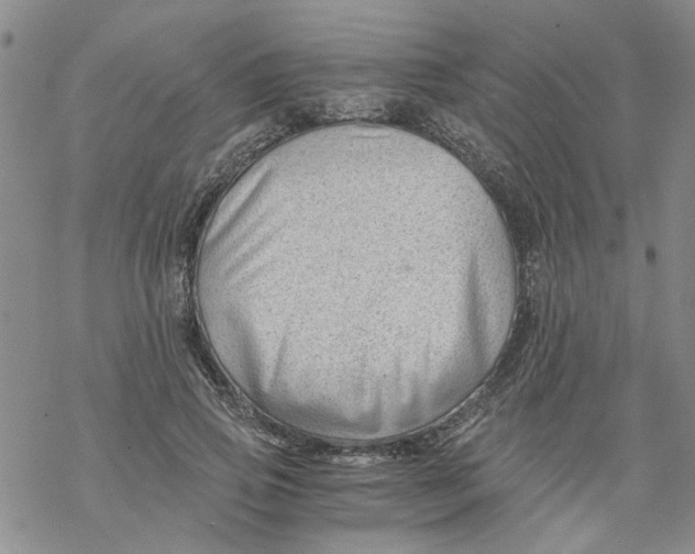 X0000068900741200605261910