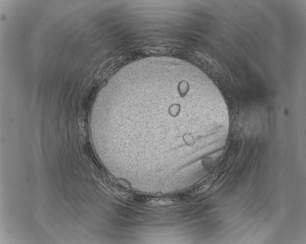 X0000068900749200605261910