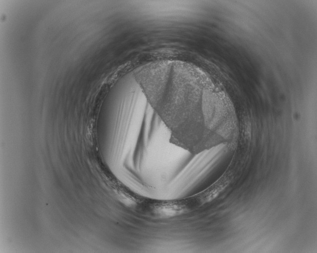 X0000068900759200605261910