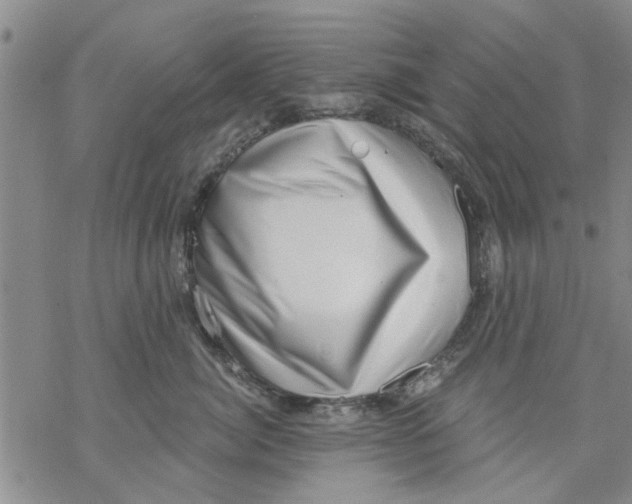 X0000068900764200605261911