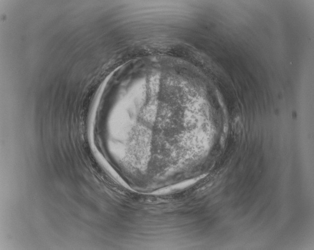 X0000068900772200605261910