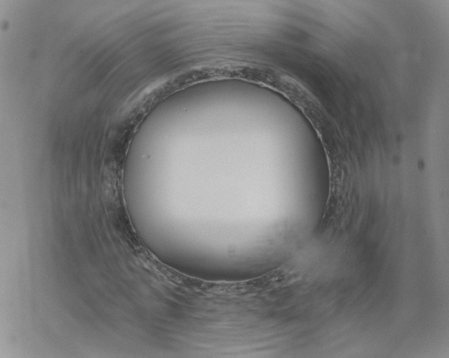 X0000068900773200605261910