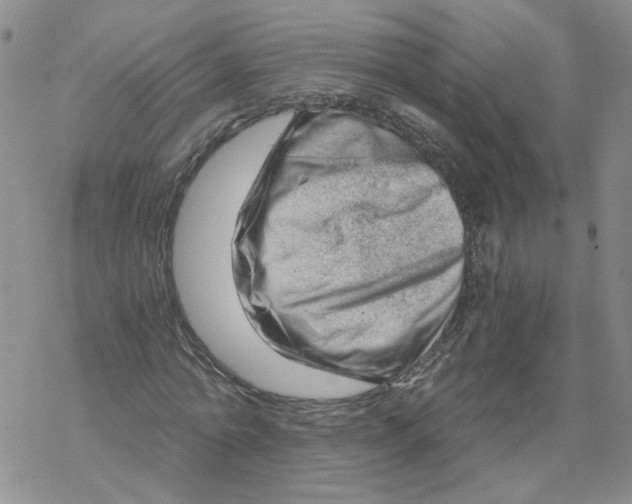 X0000068900774200605261910