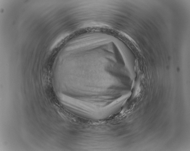 X0000068900775200605261910