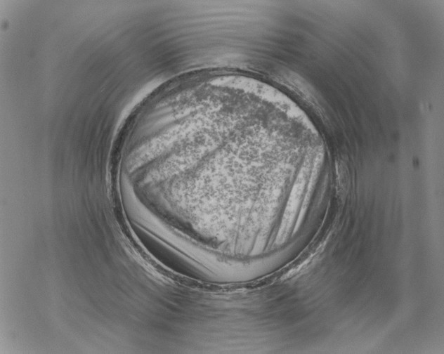 X0000068900780200605261910