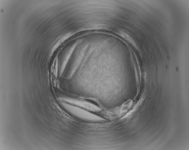 X0000068900781200605261910