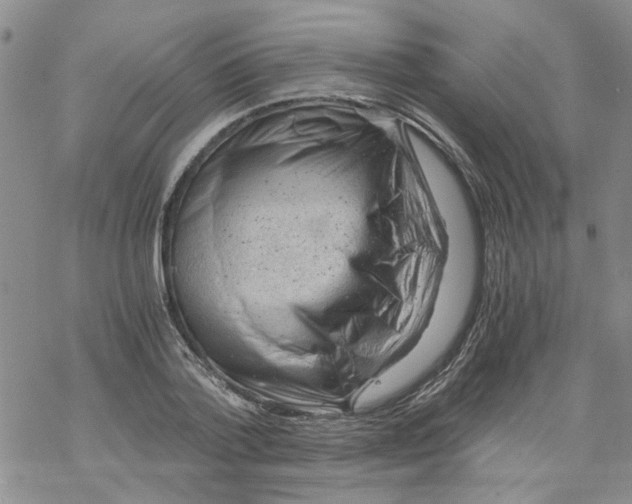 X0000068900788200605261910