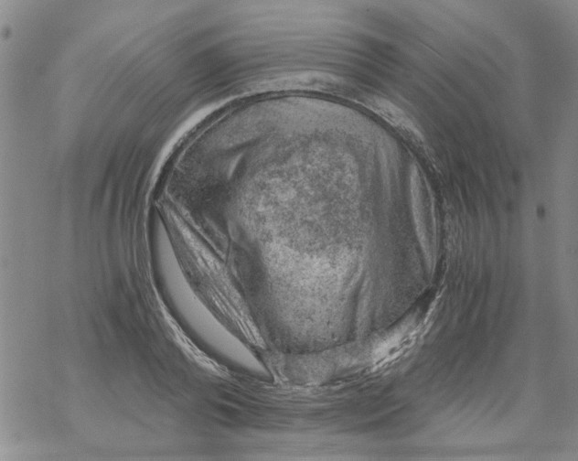 X0000068900792200605261909