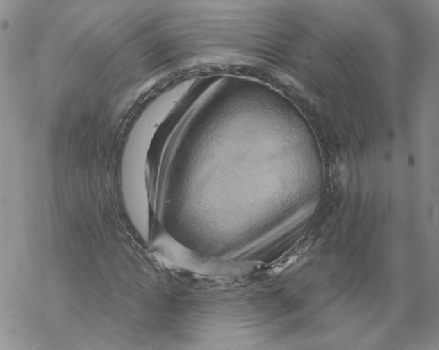 X0000068900822200605261908