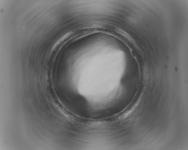 X0000068900826200605261908