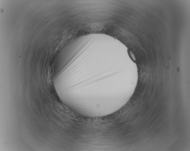 X0000068900866200605261908