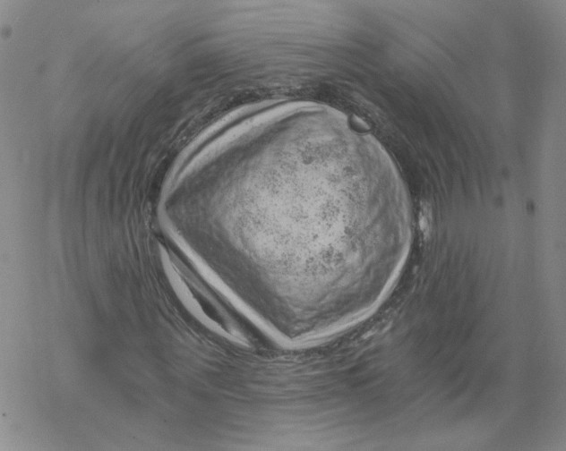 X0000068900867200605261908