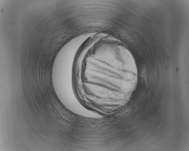 X0000068900868200605261908