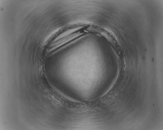 X0000068900872200605261908