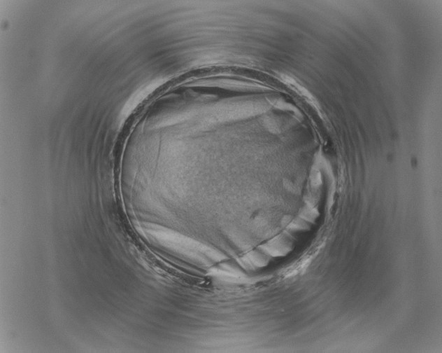 X0000068900877200605261908