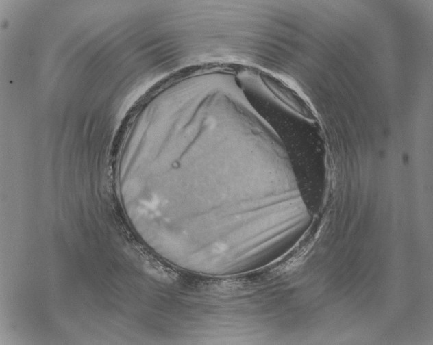 X0000068900879200605261908
