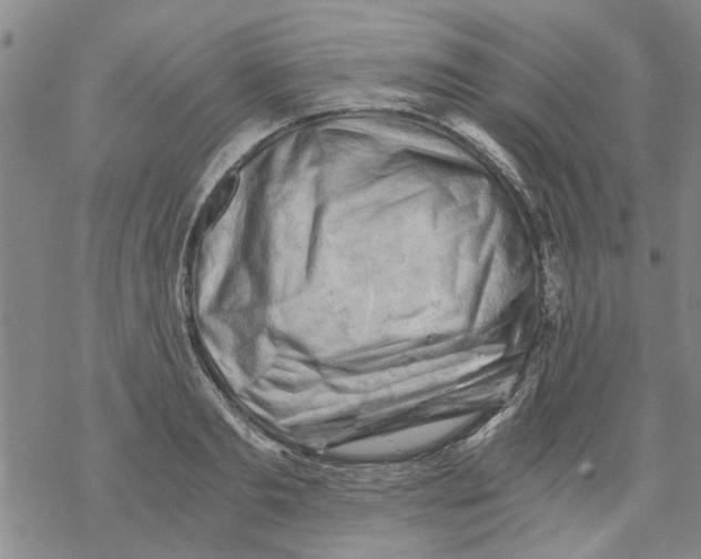 X0000068900893200605261908