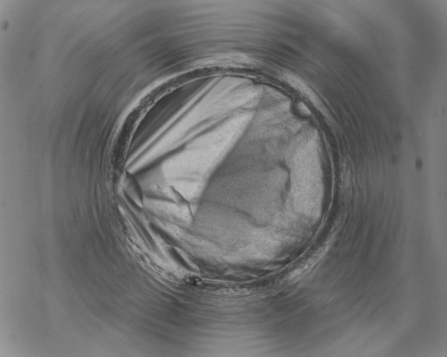 X0000068900923200605261907