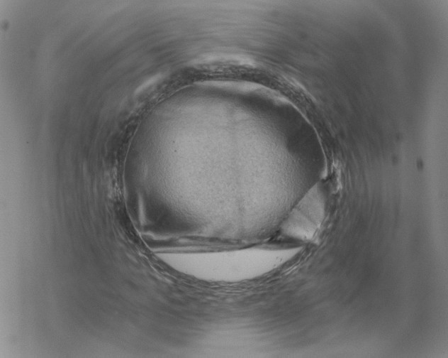 X0000068900965200605261907