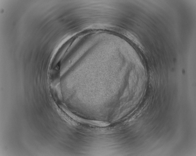 X0000068900976200605261906