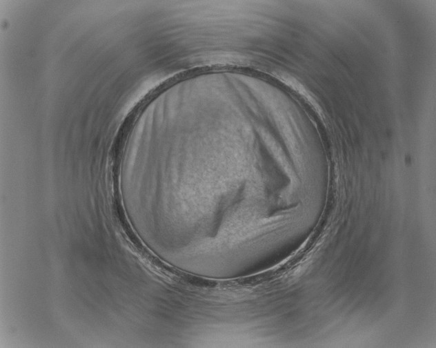 X0000068900983200605261906