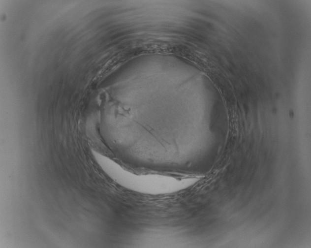 X0000068901013200605261905