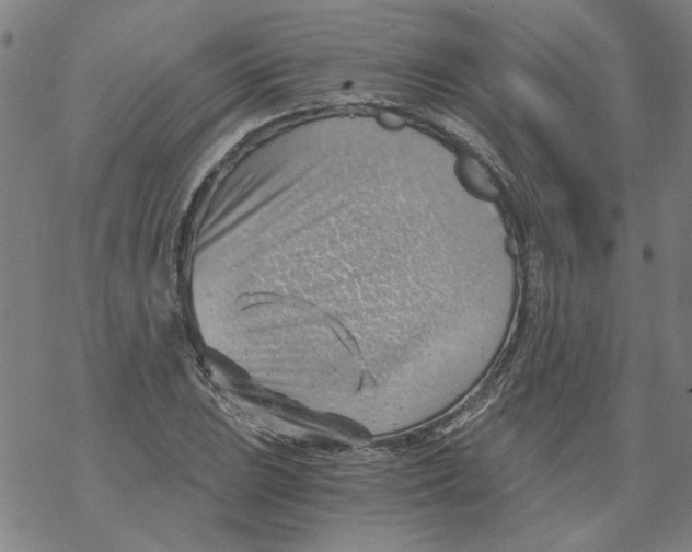 X0000068901023200605261905