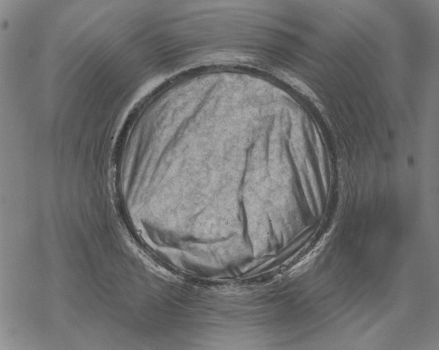 X0000068901029200605261905