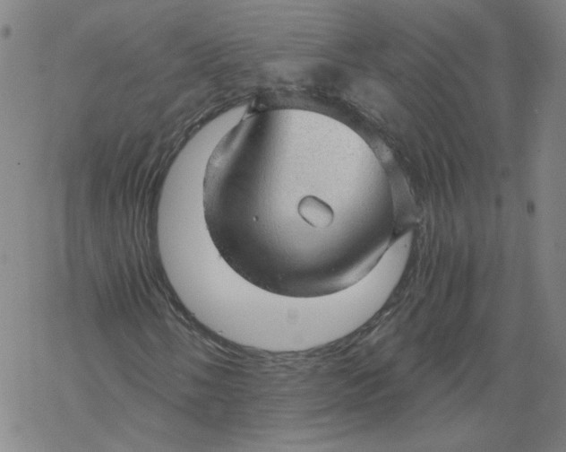 X0000068901058200605261905