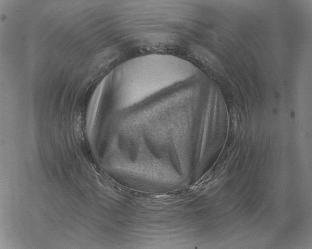 X0000068901060200605261905