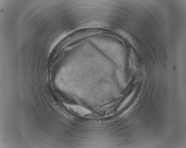X0000068901069200605261905