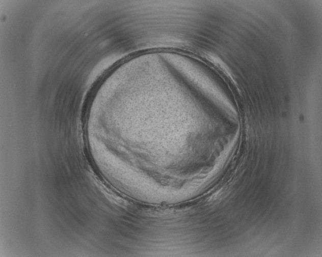 X0000068901072200605261905