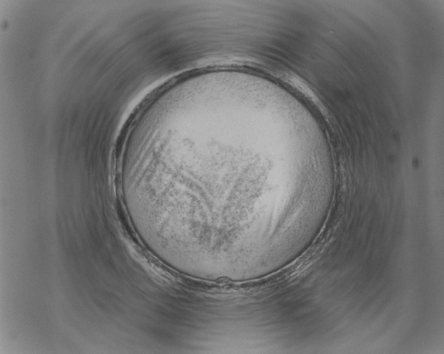 X0000068901124200605261904