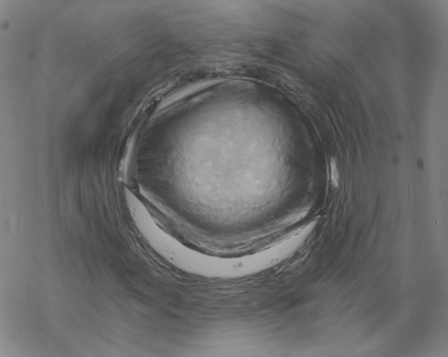 X0000068901155200605261904