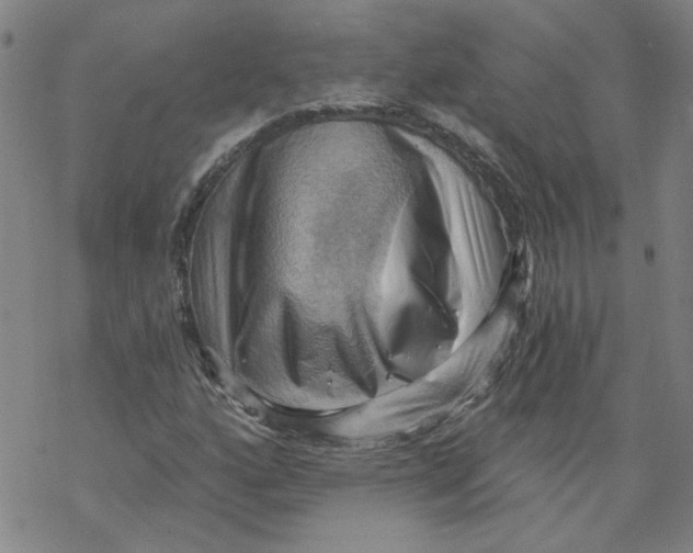 X0000068901160200605261903
