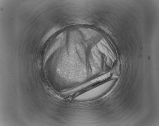 X0000068901163200605261903