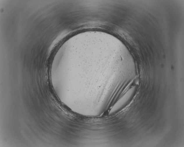 X0000068901164200605261903