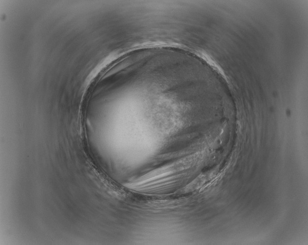 X0000068901173200605261903