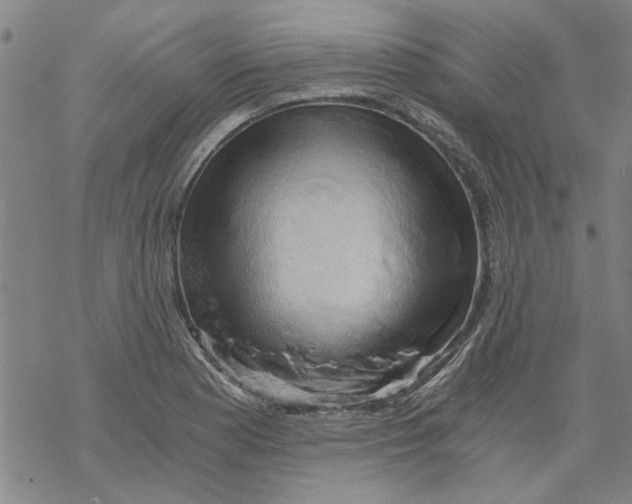 X0000068901177200605261903