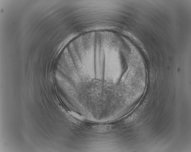 X0000068901185200605261903