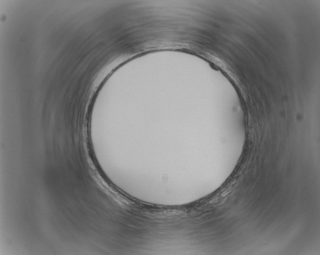 X0000068901187200605261903