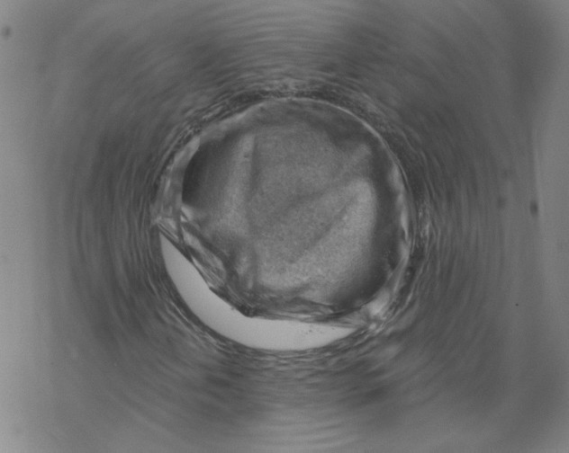X0000068901202200605261902