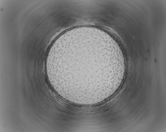 X0000068901220200605261902