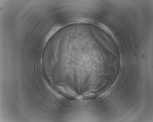 X0000068901234200605261903